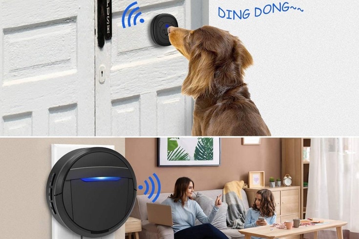 Weird Tails Wireless Dog Doorbell