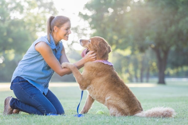 Woman praises dog after obedience training