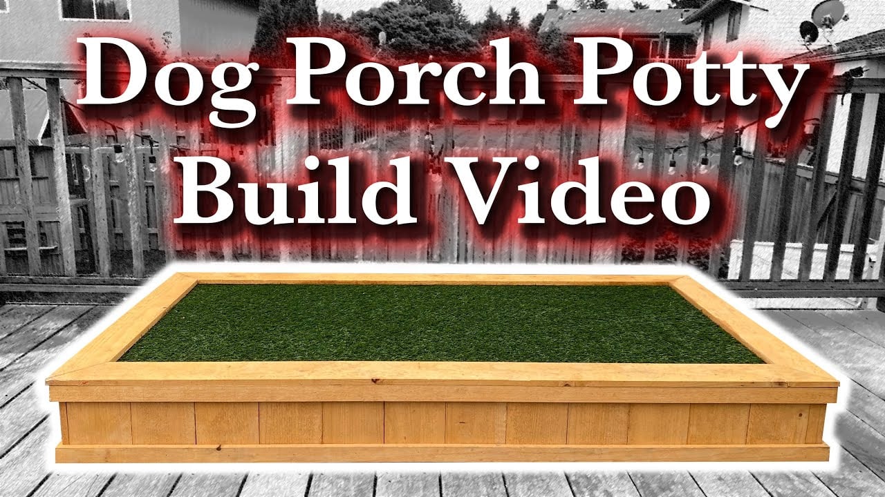 18 DIY Dog Porch Potty For House Training Your Pet