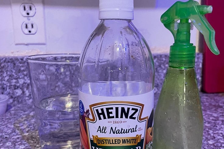 Homemade puppy best sale potty training spray