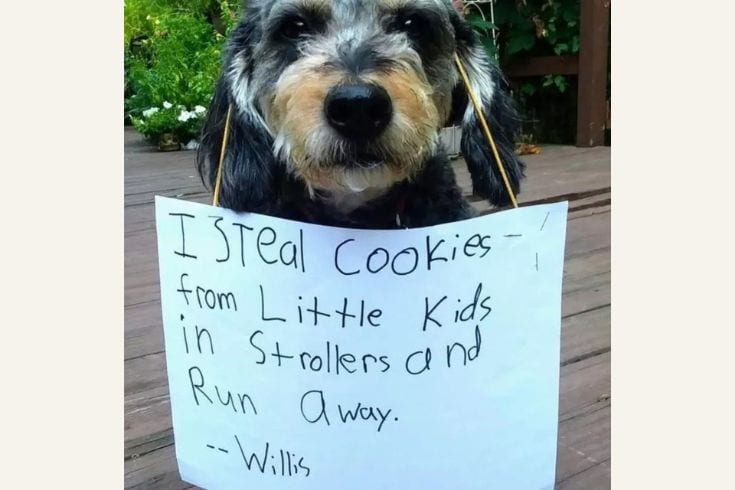 Stealing cookies from kids