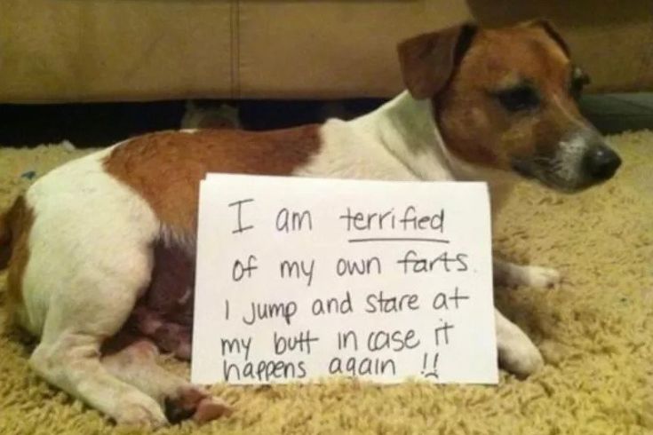 Terrified of own farts