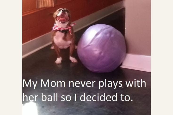 my mom never plays with her ball