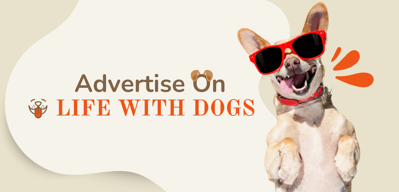 advertise on life with dogs
