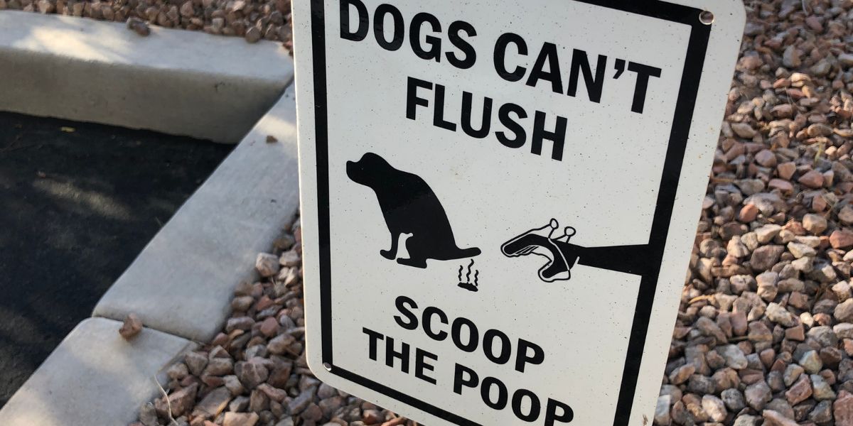 dogs cant flush
