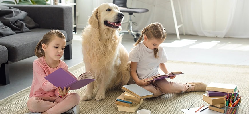 children studying with their pet dog